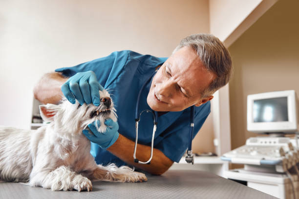 Best Emergency Dental Care for Trauma or Injury in Montezuma, IA